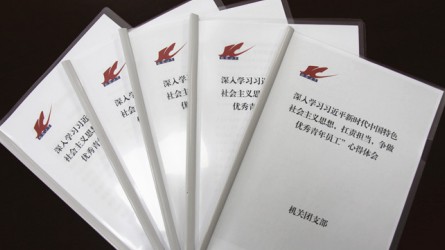 交通監(jiān)理公司團(tuán)委深入開(kāi)展學(xué)習(xí)新思想，爭(zhēng)做扛責(zé)擔(dān)當(dāng)優(yōu)秀青年員工活動(dòng)