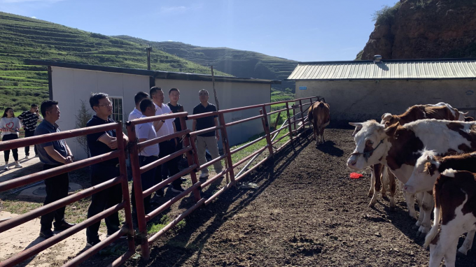 甘肅工程咨詢(xún)集團(tuán)黨委書(shū)記、董事長(zhǎng)宋忠慶一行赴卓尼縣柳林鎮(zhèn)幫扶村調(diào)研慰問(wèn)