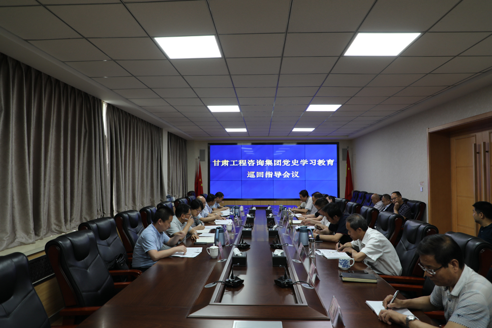甘肅工程咨詢集團黨史學(xué)習(xí)教育第四巡回指導(dǎo)組對水電設(shè)計院黨史學(xué)習(xí)教育工作開展情況進(jìn)行巡回指導(dǎo)